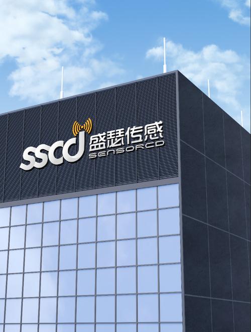 成都盛瑟传感技术 深耕信息技术咨询，赋能数字化转型